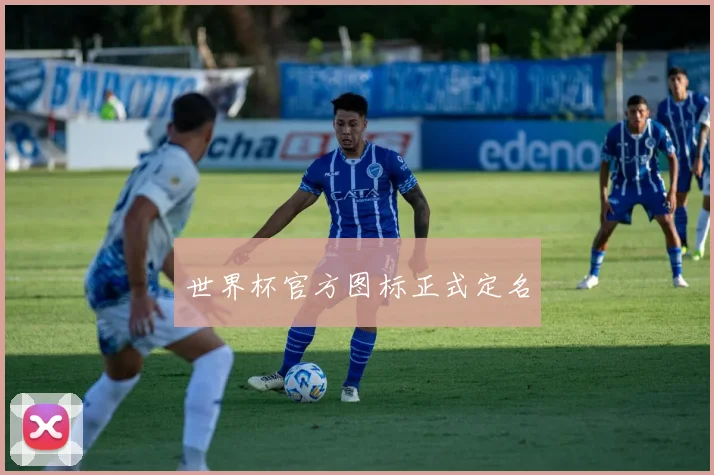 世界杯官方图标正式定名