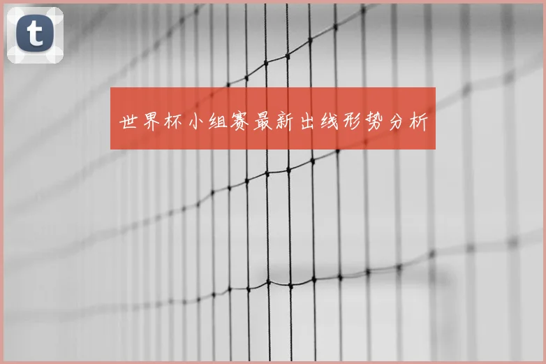 世界杯小组赛最新出线形势分析
