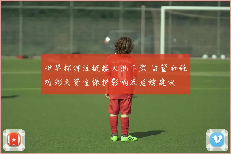 世界杯押注链接大批下架 监管加强对彩民资金保护影响及后续建议